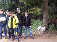 zloty lisc 2017 (18)